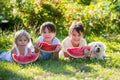 Three children, siblings and pet dog, eating watermelon in garden Royalty Free Stock Photo