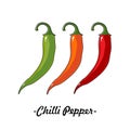 Three chili peppers of different colors on a white background. Royalty Free Stock Photo