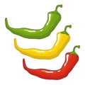 Three chili peppers. Green yellow and red. Condiments vector illustration.