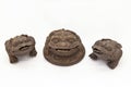 Three Chinese Feng Shui Frog with coins. Royalty Free Stock Photo