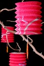 Three Chinese Paper Lanterns