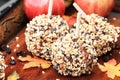 Three Chocolate Chip Carmel Apples Royalty Free Stock Photo