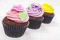 Three Chocolate Cup Cakes With Colorful Icing Royalty Free Stock Photo