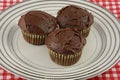 Three chocolate cupcakes