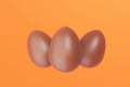 Three Chocolate Easter Eggs, sweet eastertime Royalty Free Stock Photo