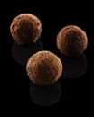 Three chocolate truffles isolated on a black background Royalty Free Stock Photo