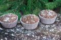 Three Christmas cakes, winter snowbound wooden background, fir b