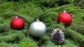 Three Christmas ornaments, red and silver, on a pine bough, with a pinecone Royalty Free Stock Photo