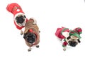 Three Christmas Pugs Royalty Free Stock Photo