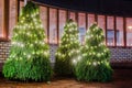 Three Christmas Trees