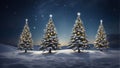 Christmas Trees Star Sky Royalty Free Stock Photo