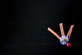 Three cinnamon sticks, a lilac Daisy and a ladybug, all set against a black background in the lower right corner. a lot of empty Royalty Free Stock Photo