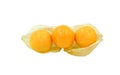 Three circle shape gooseberry yellow fruit. multi vitamin for healthy. Isolated on white with clipping path. organic golden orange