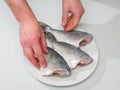 Three clean fresh sea bream on a white plate, Head and guts removed and washed. Ready to cook product. Fishmonger arranging fish