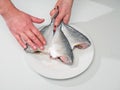 Three clean fresh sea bream on a white plate, Head and guts removed and washed. Ready to cook product. Fishmonger checking quality