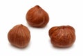 Three clear hazelnuts