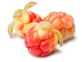 Three cloudberries (Rubus Chamaemorus)