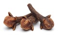 Three clove buds on white background