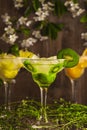 Three cocktails: pineapple, orange, kiwi. fruit soft drink with ice on a wooden background and flowers Royalty Free Stock Photo