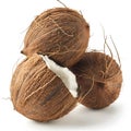 Three coconuts isolated on white background Royalty Free Stock Photo