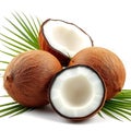 Three coconuts one cut in half Royalty Free Stock Photo