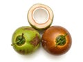 Three coconuts, one cut open isolated on white background Royalty Free Stock Photo