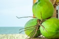 Three coconuts Royalty Free Stock Photo