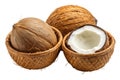 Three Coconuts in Woven Baskets isolated on a transparent background brown white Royalty Free Stock Photo