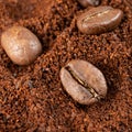 Three coffee beans lie on ground coffee close-up. Royalty Free Stock Photo