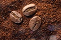 Three coffee beans lie on ground coffee close-up. Royalty Free Stock Photo