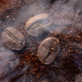 Three coffee beans lie on ground coffee, light aromatic coffee smoke. Royalty Free Stock Photo