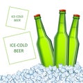 Three cold fresh beer bottles in transparent cubic ice