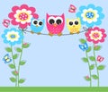 Three color ful owls Royalty Free Stock Photo