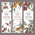 Three color labels with sea buckthorn, goji and dog rose.
