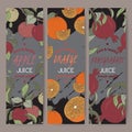 Three color vector templates for apple, orange and pomegranate juice. Royalty Free Stock Photo