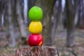 Three colored apples in the form of a traffic light on a tree stump in the woods Royalty Free Stock Photo