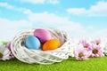 Three colored Easter eggs in the nest, pink and white flowers on grass and sky background Royalty Free Stock Photo