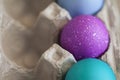 Three Colored Eggs for Easter in an Egg Carton Royalty Free Stock Photo