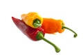 Three colored paprika`s Royalty Free Stock Photo