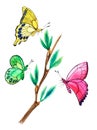 Three colorful abstract butterflies: yellow, pink, green around Brown branch with young spring leaves.