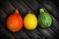 Three, colorful, autumn pumpkins Royalty Free Stock Photo