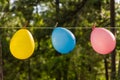 Three colorful balloons blowing in the wind outdoors in the forest for a celebration and happy birthday party Royalty Free Stock Photo