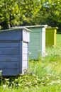 Three colorful beehives in a row Royalty Free Stock Photo