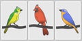 Three colorful birds - wall art vector set Royalty Free Stock Photo