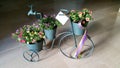 Three Colorful Blossoming Flowerpots On A Bronze Bicycle Stand With Gift Ribbon And Card Standing On A Marble Floor