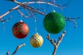 Three colorful Christmas ornaments hanging on bare tree branches Royalty Free Stock Photo