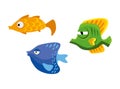 Three colorful cute fish on white background Royalty Free Stock Photo