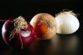 Three colorful different onion