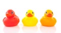 Three colorful ducks Royalty Free Stock Photo