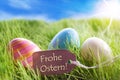 Three Colorful Easter Eggs On Sunny Green Grass With Label With German Frohe Ostern Means Happy Easter